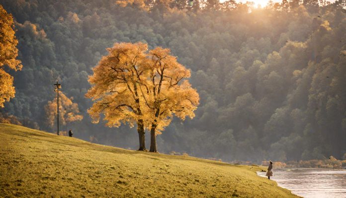 Best Life Insurance in Tennessee