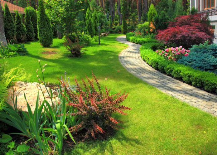Best Rhode Island Landscaping Services