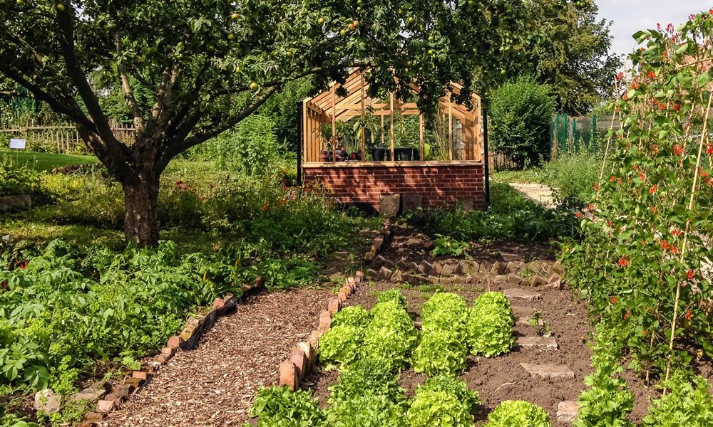 Exploring The Growing Appeal Of Simple And Intentional Living