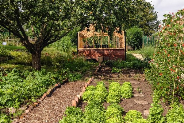 Exploring The Growing Appeal Of Simple And Intentional Living